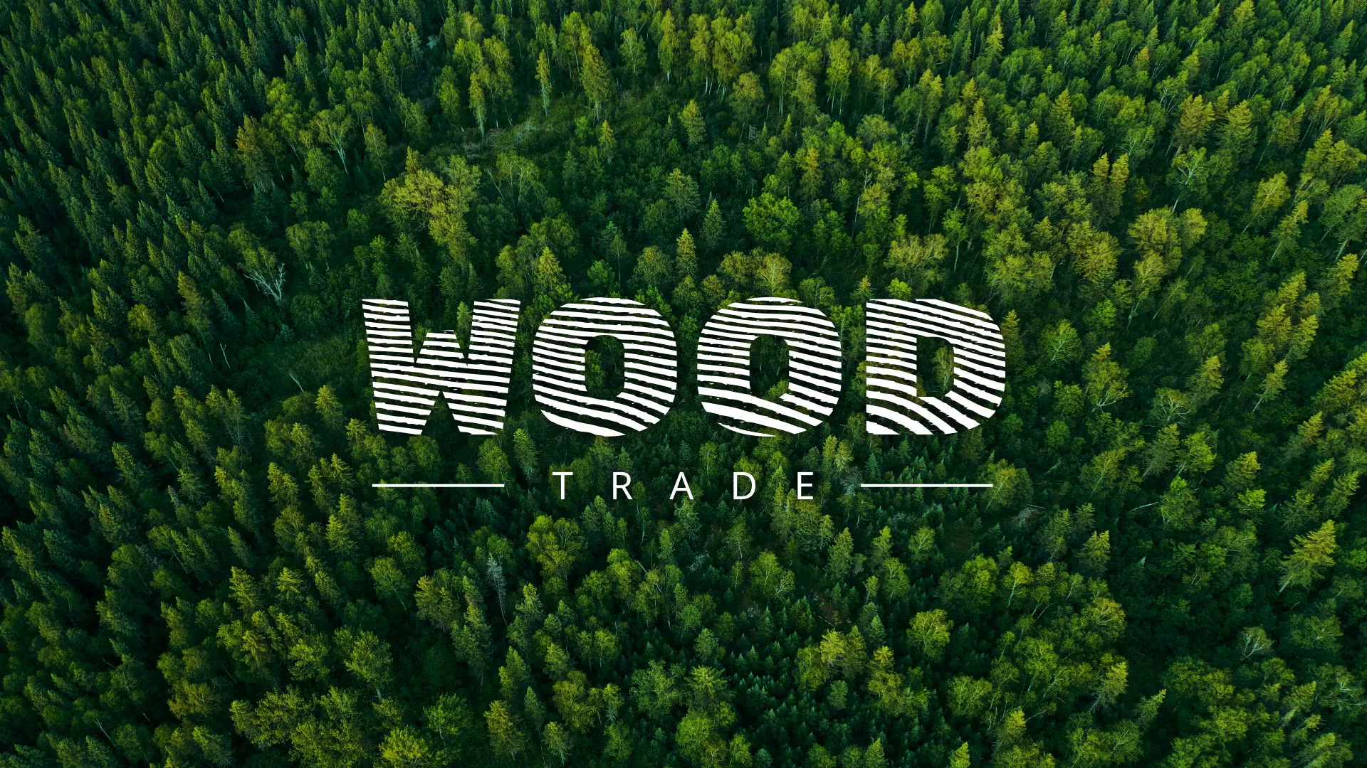 Разработка интернет-магазина компании «Wood Trade» в Котово